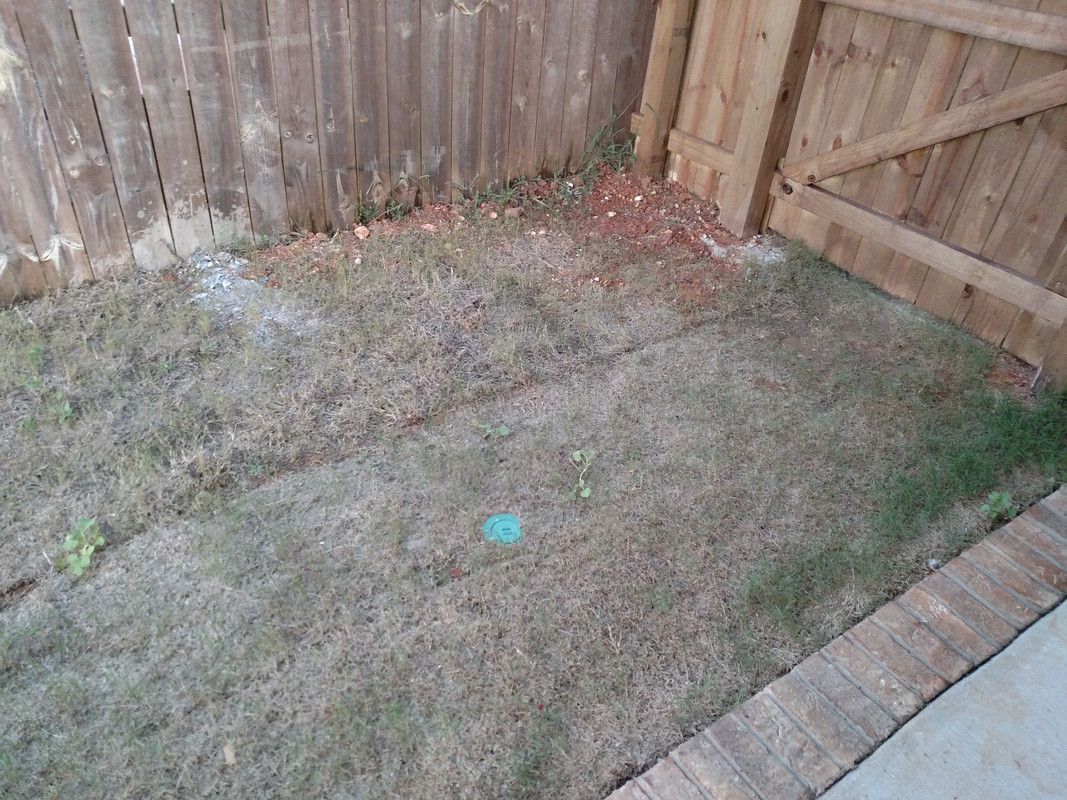 IMG_20160824_192813265