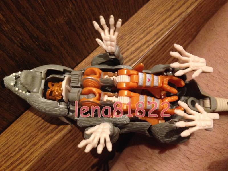 10301539_629386853814394_3652629124934888156_n