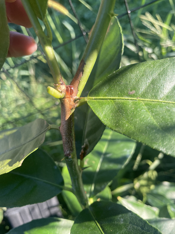 42731481-09C5-4050-866D-62A00B89B7D2