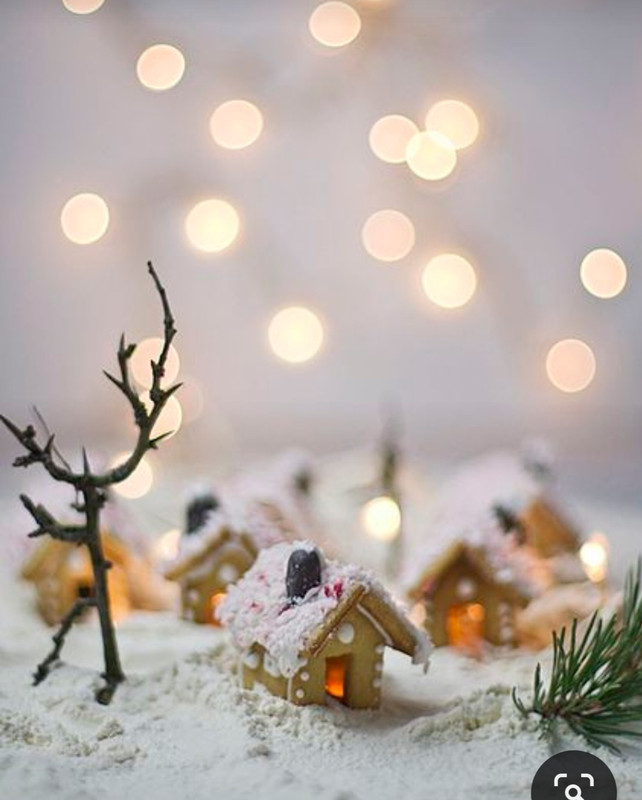 Screenshot_20231107_161011_Pinterest