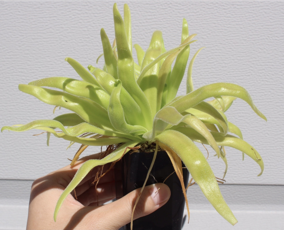 F14EC59F-FB19-4D15-99D2-90183F058492