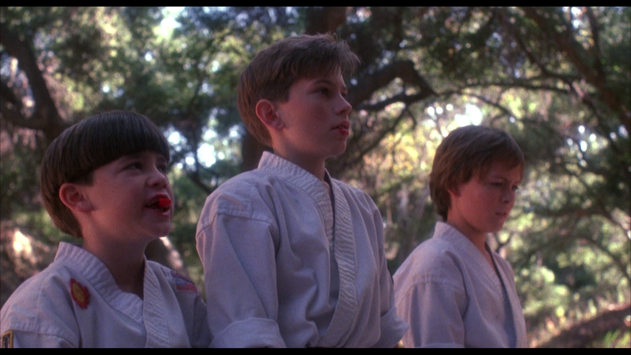 vlcsnap-2024-02-03-16h14m09s469