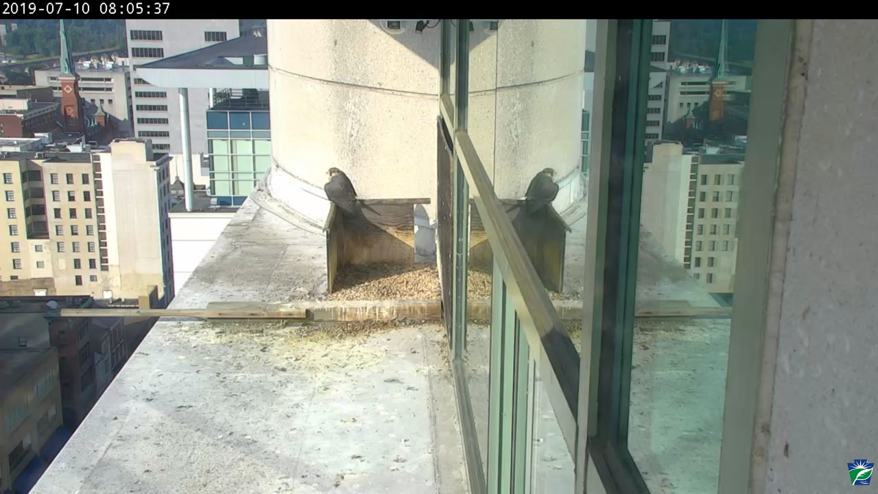 capture_10072019_140729