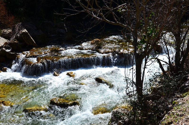 RUTA RIO BOROSA-12-3-2016-JAEN - Paseando por España-1991/2016 (19)