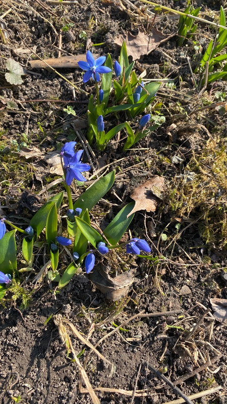 FF144C9F-B39D-47BB-AEF5-D06F77CA4723