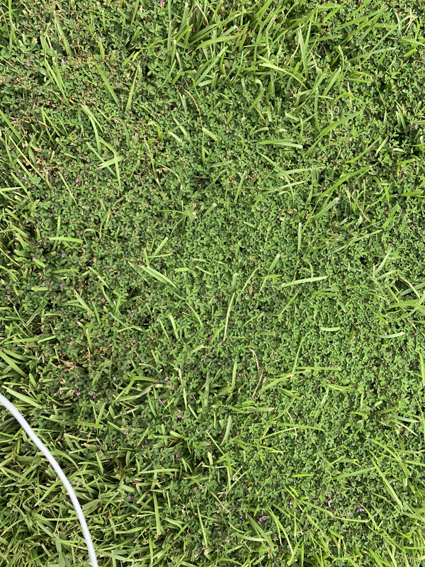 5410EFDC-3109-4670-945E-6B29E605D563