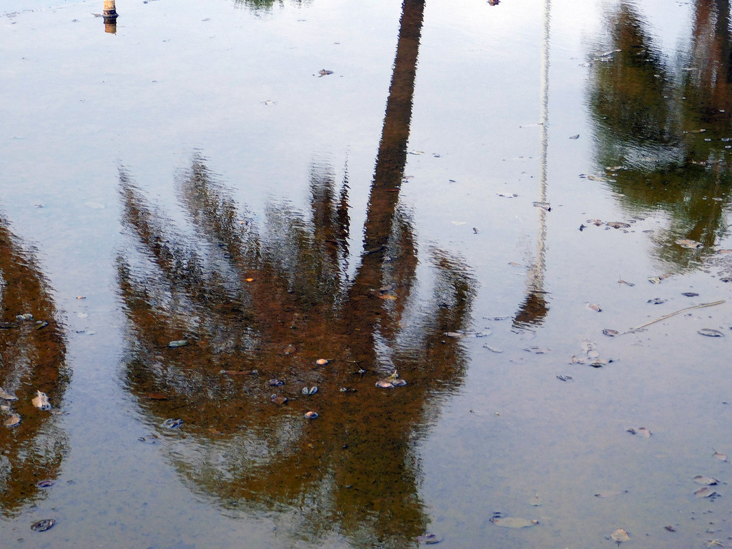 DSCN0364.jpg
