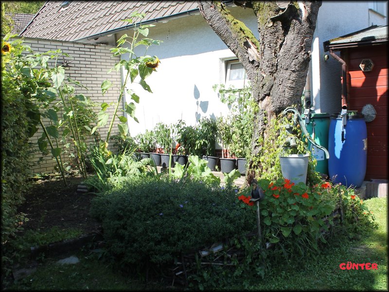 [Bild: Garten-12.jpg]