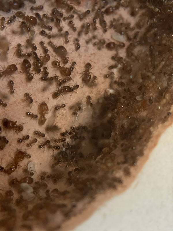 4CD3E5C9-CF9A-41E2-A50A-C702EB36CD02