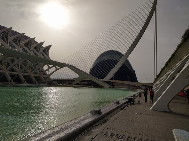 A Valencia con valentía - Blogs de España - Ciudad de las artes y las ciencias (10)