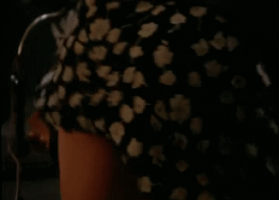 IMG-7258.gif