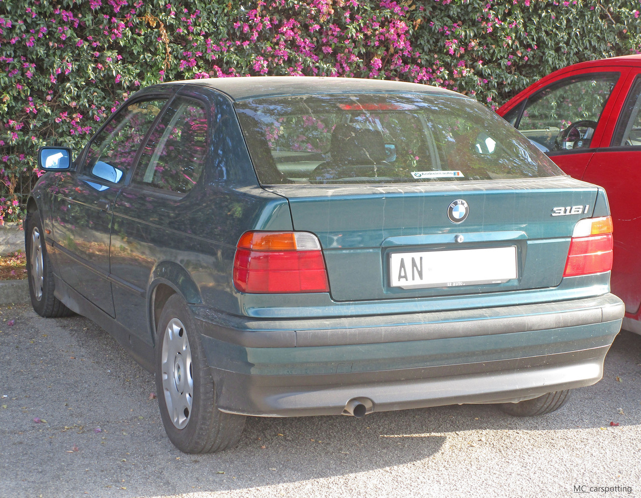 IMG-8554.jpg