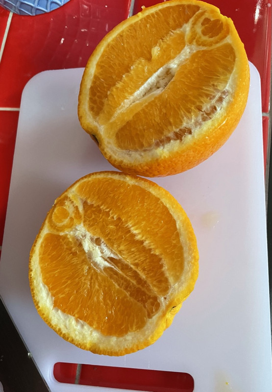 B4817A1B-4B62-4D4D-806A-217E8FB1367F_1_105_c