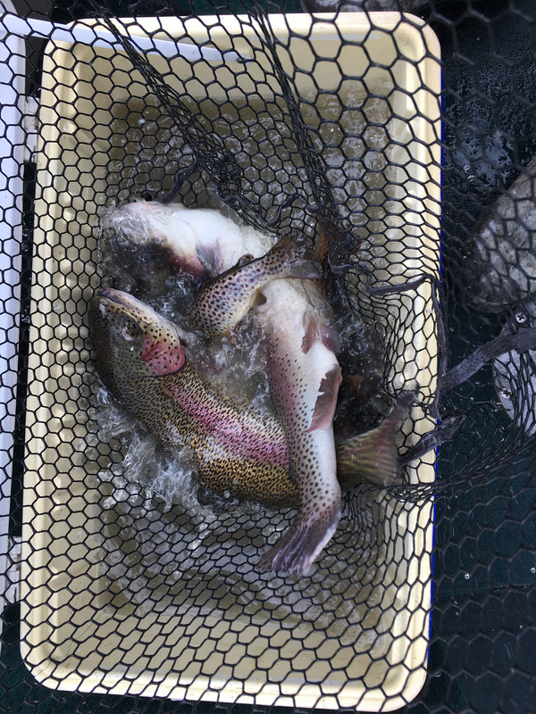 A81CDB88-EE3F-41CA-95C3-373C24A2D4E4