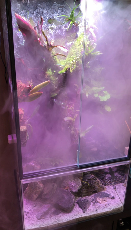 E0835BD4-A465-4E63-BA0F-5BA2B57A5051