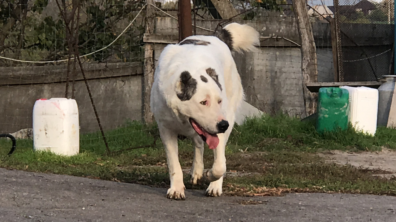 99264E9D-CED5-4DFB-99A8-B0048868D48E