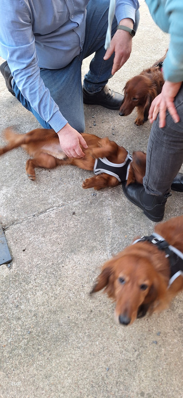 [Image: 20250306-181549.jpg]