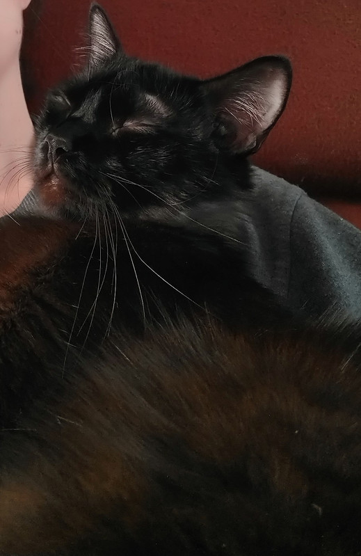 IMG 20260321 161042460 HDR 2