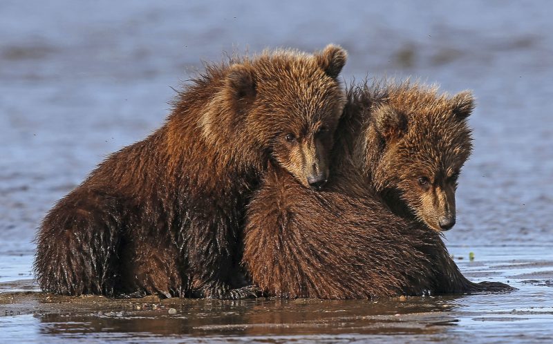 462DA8A0-96E4-44DC-A164-F567CE2A61D6