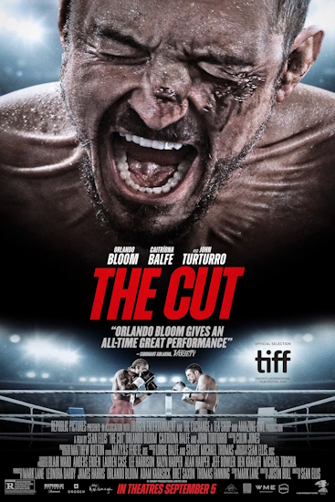 The-Cut.jpg