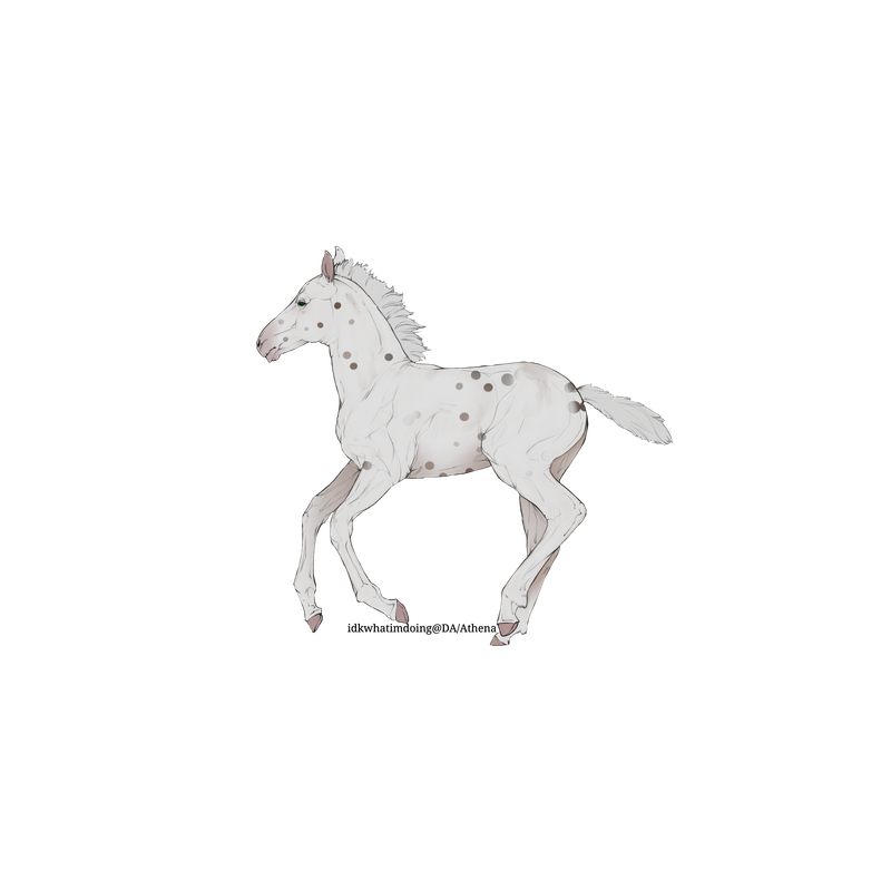 Untitled85-20250713214058.png