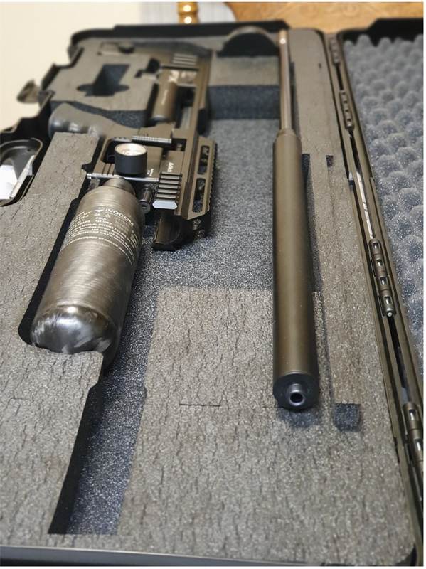 GunPic2
