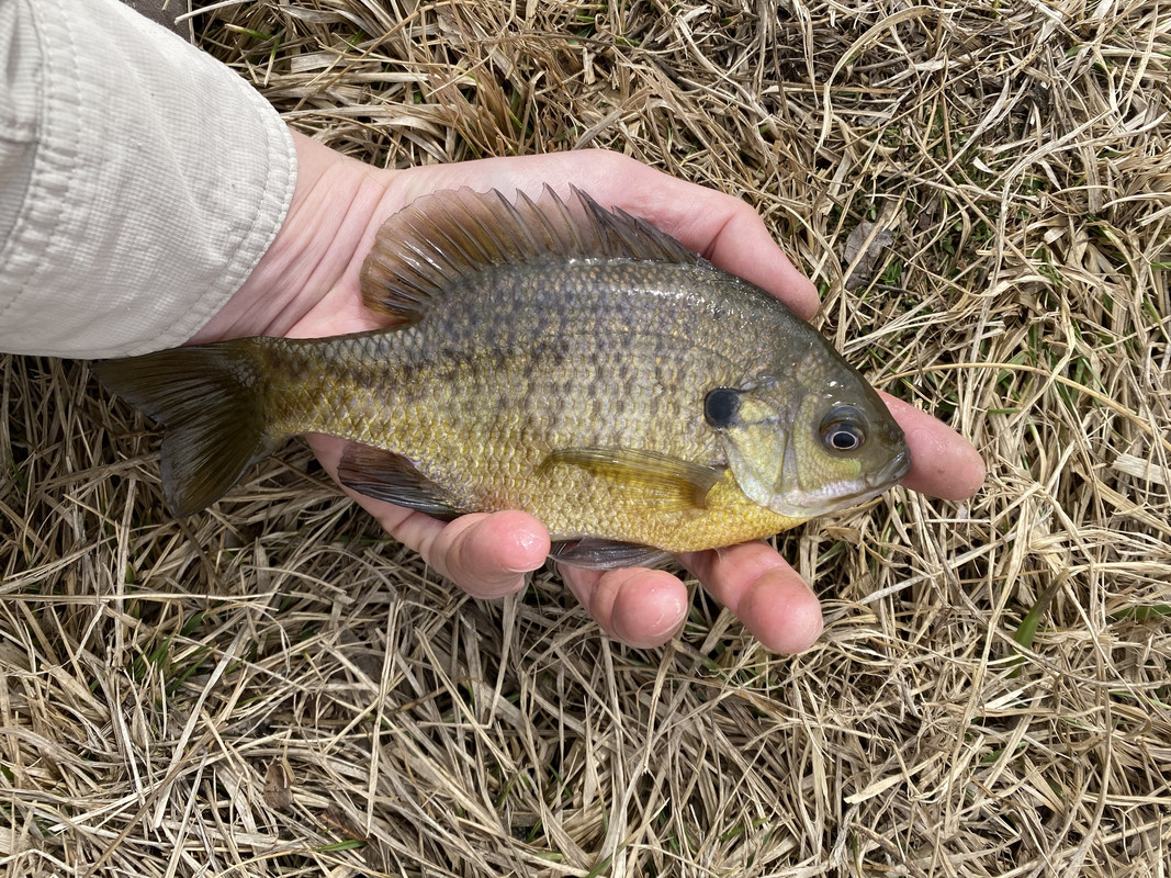 9E484479-1A82-4413-AD7B-8BE51336A7C8