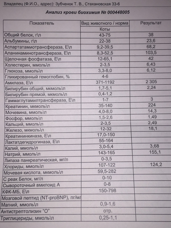 67E34E4A-93EE-4E14-B513-087E6D1EF4FB