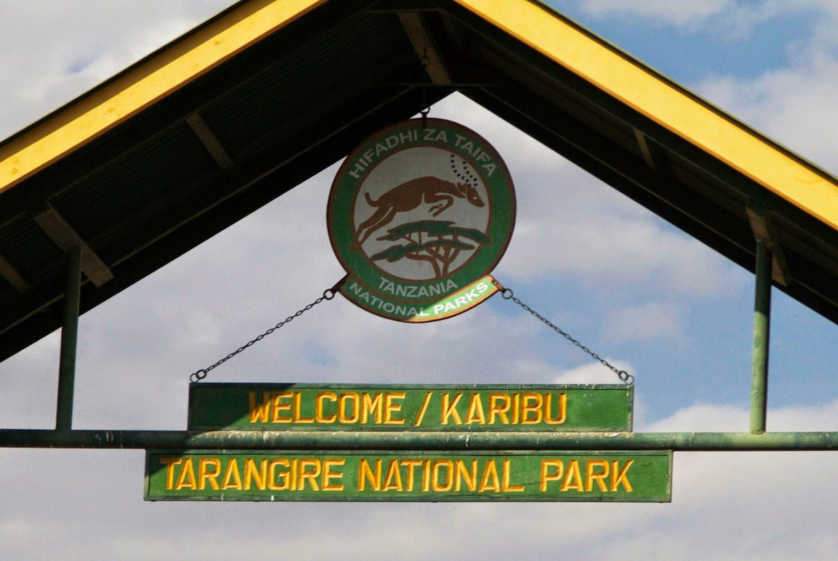 Tarangire Safari