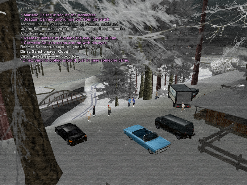 SSRoleplay207.png