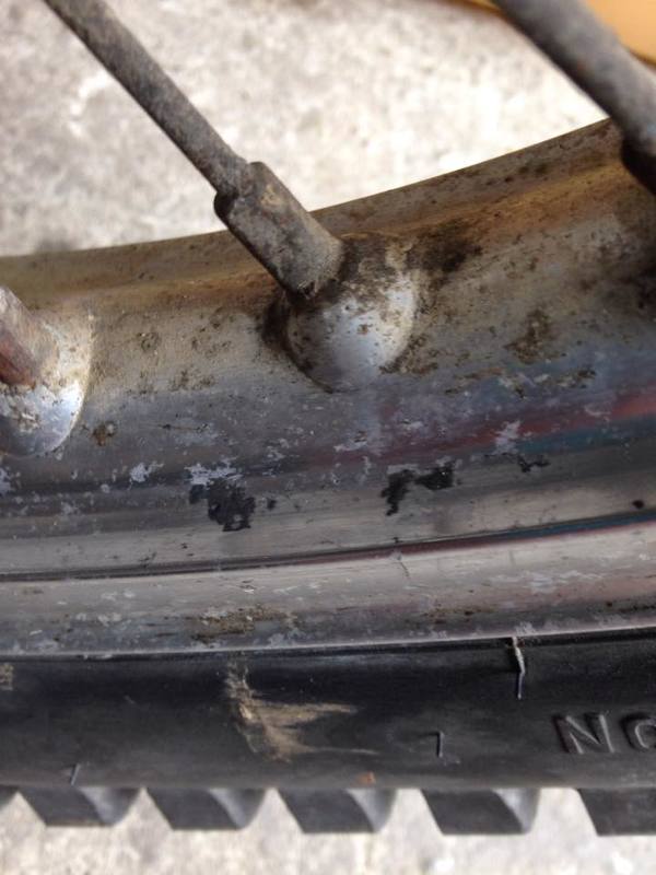 11165908_1050840321610342_1639942388_n