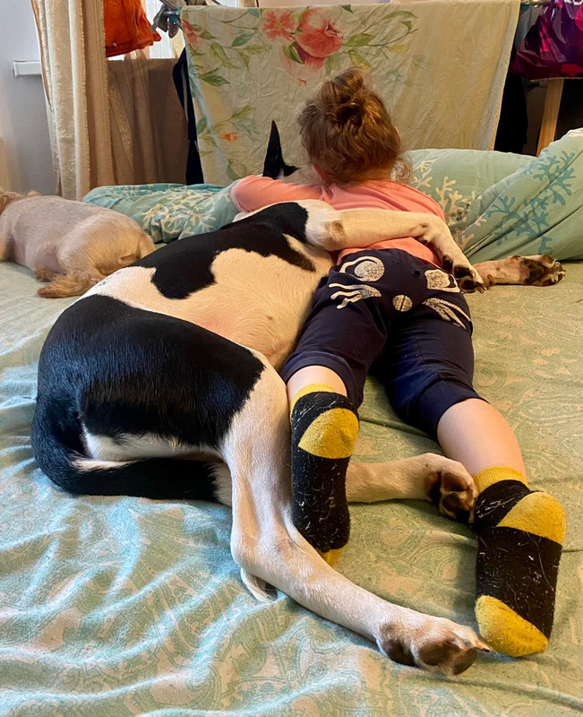 EEC2853E-AE7B-45EA-8578-DE93060A6D51