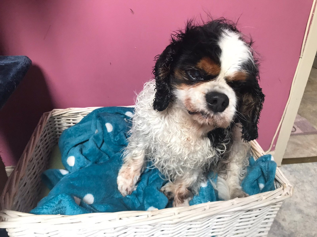 2666D4E8-F3E9-4C20-9A70-1D759DFF2D35