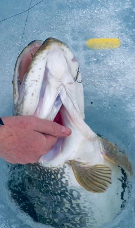 E35458AF-E28A-47E8-82D4-4E5C226B6E0F