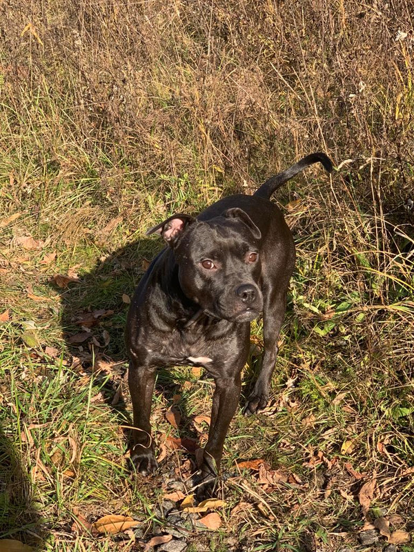 88E244F6-DBF7-4D24-B9B9-525D8D378F88