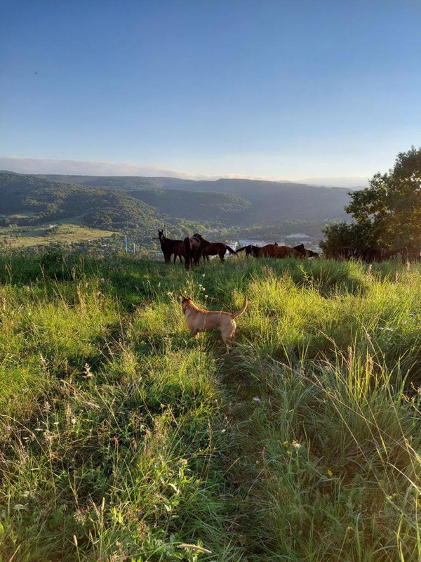 4DFCE6CC-61F1-413F-B068-D50FE912F815