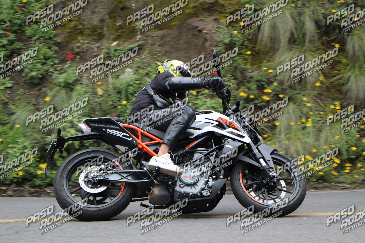 IMG 3215 wm 1031859 7999999998 watermarked — Postimages