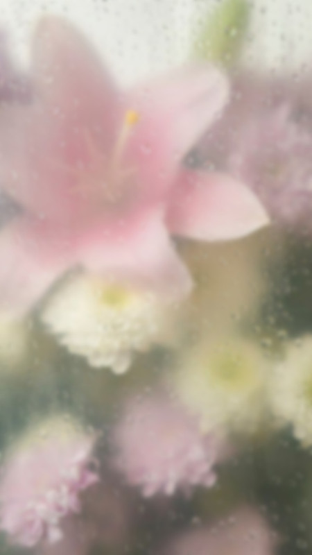 Tumblr l 1239140580594750