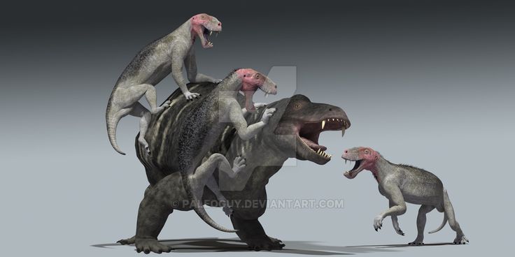 69bad364d0874733adc1d7fab81f93ab--prehistoric-animals-prehistory