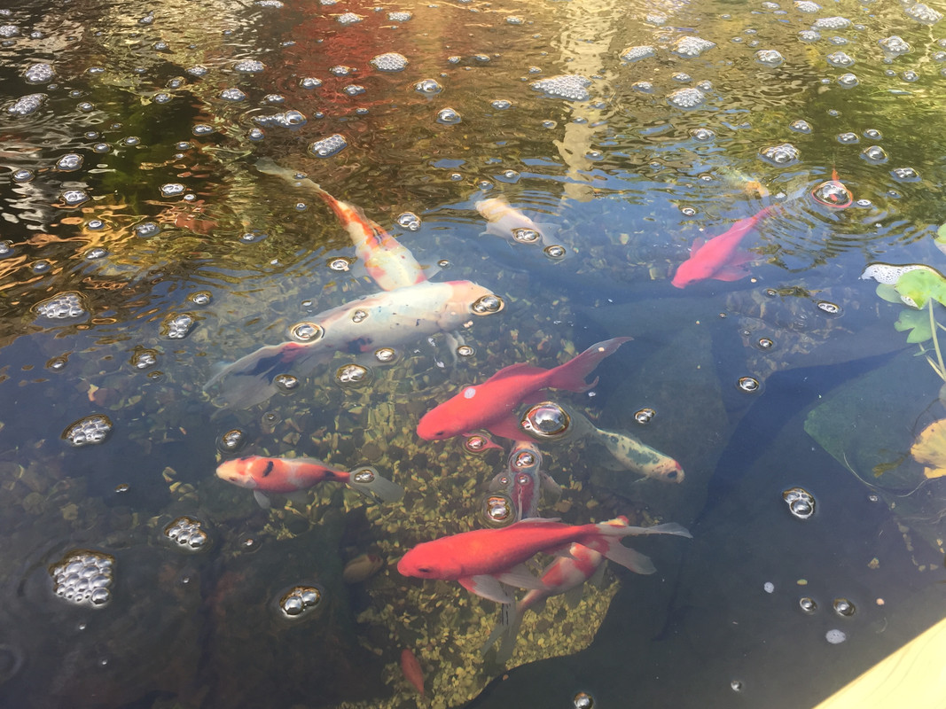 6D626F7C-A087-4E73-91AD-7CA40C8D364D