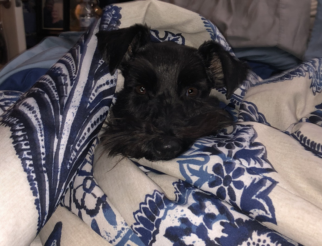 EF2D2894-E432-4B6E-BBDD-27B5DFED296E