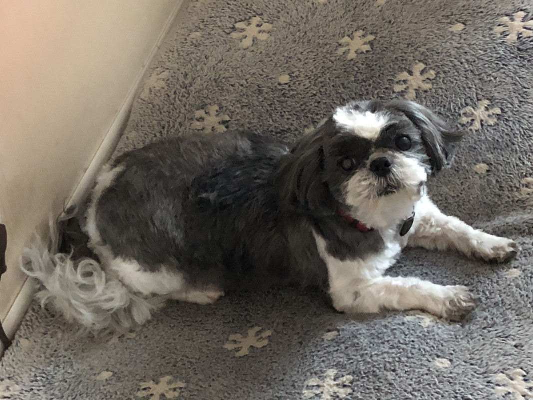 [Image: IMG-6903.jpg]