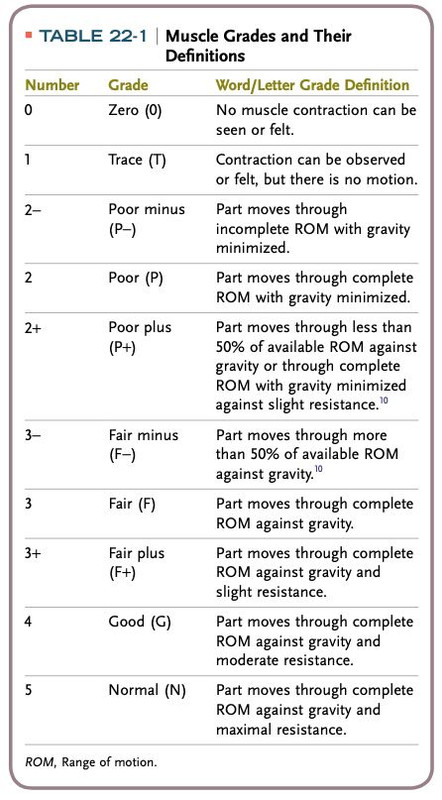 Rom Grading PHOTO 2022 06 30 19 34 29 — Postimages