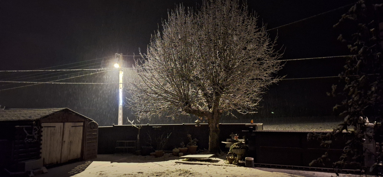 [Image: 20260105-195126.jpg]