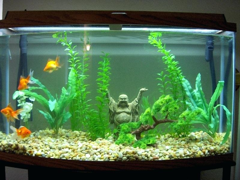 fish tank decoration ideas for goldfish fishing net wall decor — Postimages