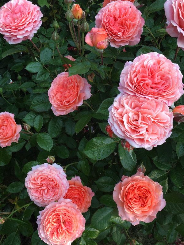 34574B02-B08C-45A2-AF43-E9BB6A95126D