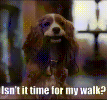 walk-time2.gif
