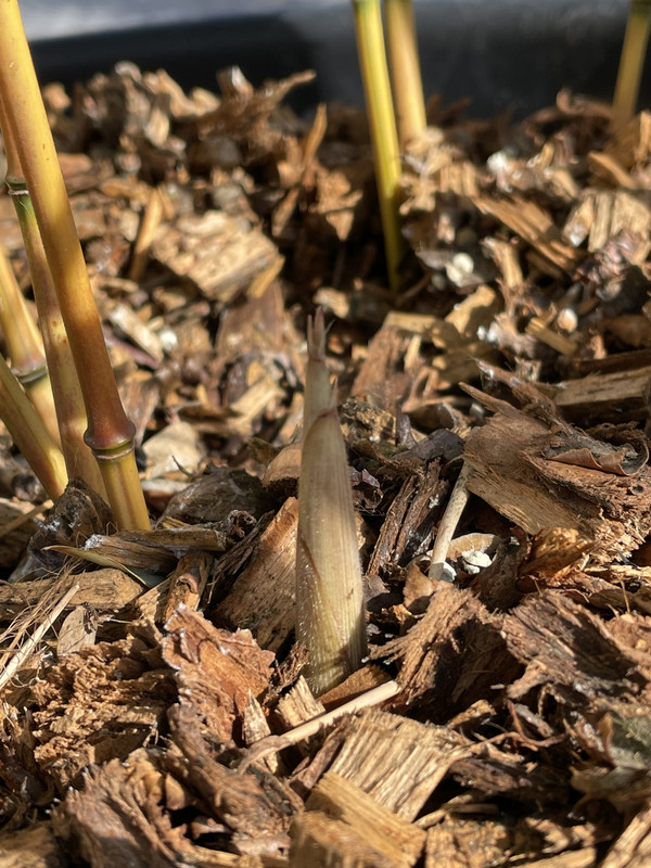 8D943669-FFAC-4D47-A674-674389FA67FC