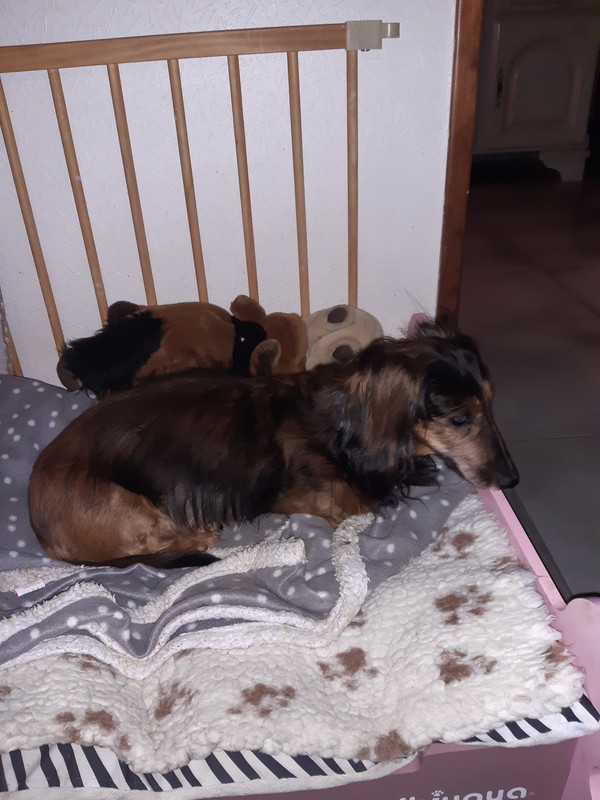 [Image: 20230119-074846.jpg]