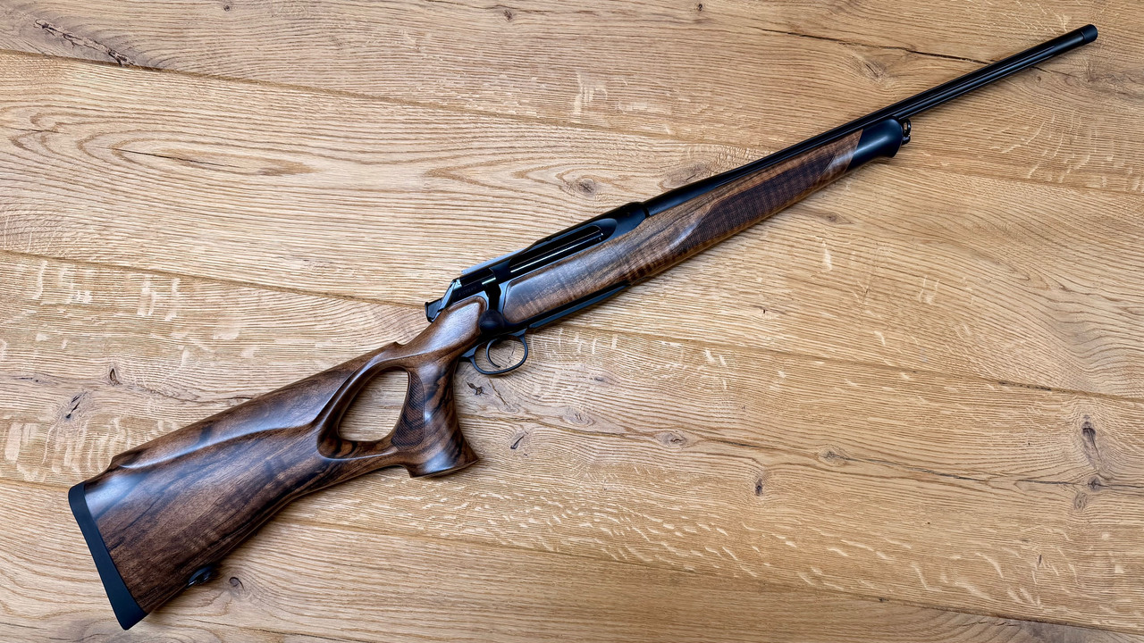 Sauer2